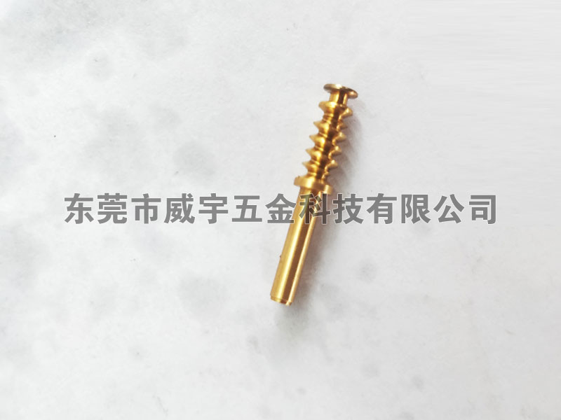 非标蜗杆